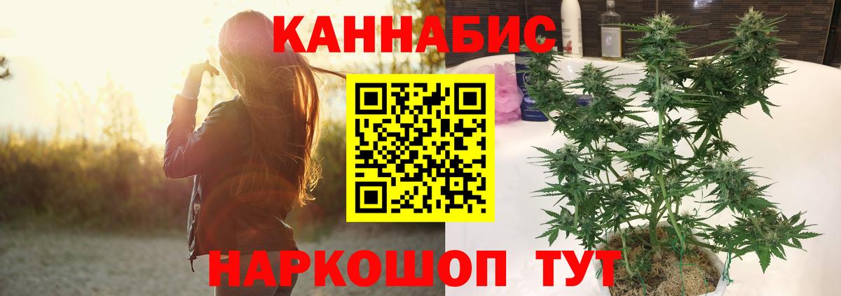 Кохма  Каннабис конопля  Бошки марихуана сатива  Конопля Bruce Banner  Вход с VPN 
