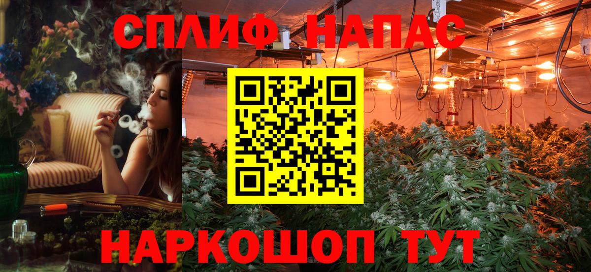 Каннабис SATIVA & INDICA Кохма